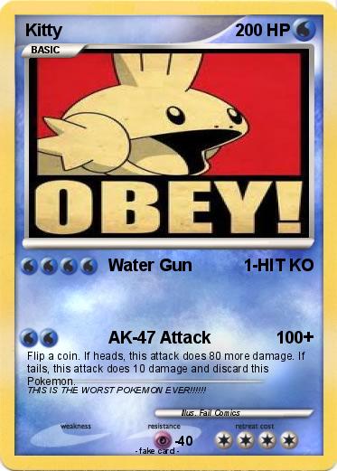 Pokemon Kitty