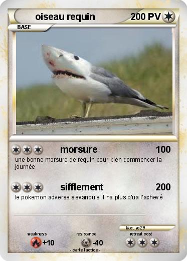 Pokemon oiseau requin