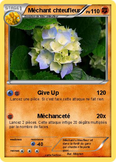 Pokemon Méchant chteufleur