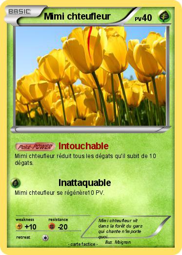 Pokemon Mimi chteufleur