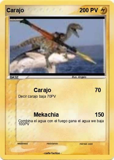 Pokemon Carajo