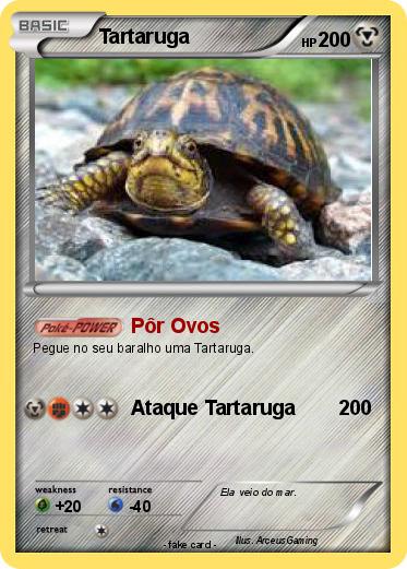 Pokemon Tartaruga