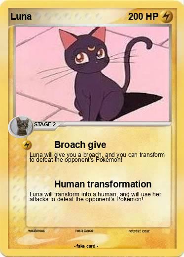 Pokemon Luna