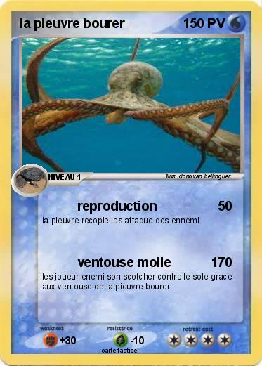Pokemon la pieuvre bourer