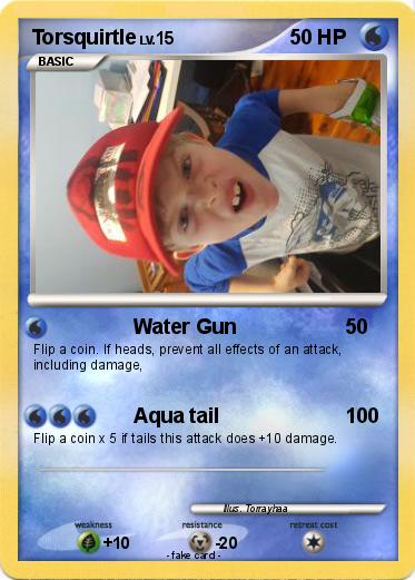 Pokemon Torsquirtle