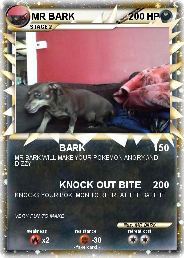 Pokemon MR BARK