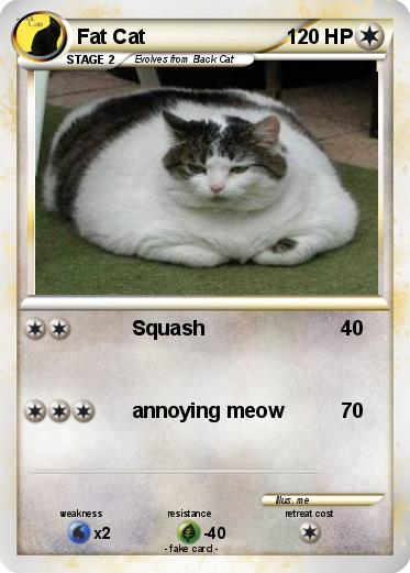 Pokemon Fat Cat