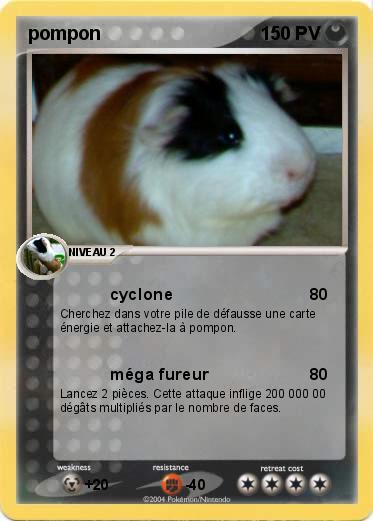 Pokemon pompon