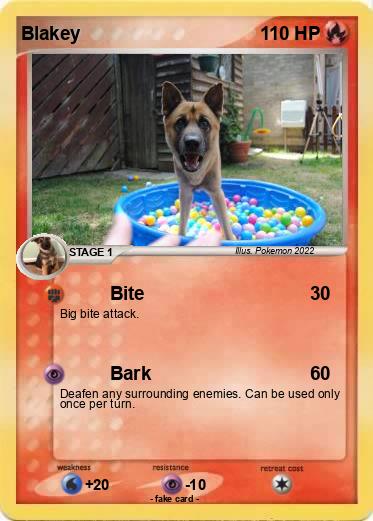 Pokemon Blakey