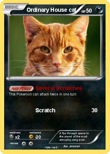 Pokemon Ordinary House cat