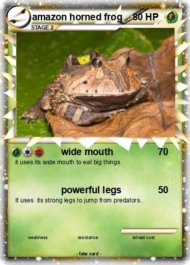 Pokemon amazon horned frog