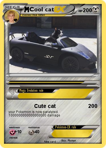 Pokemon Cool cat