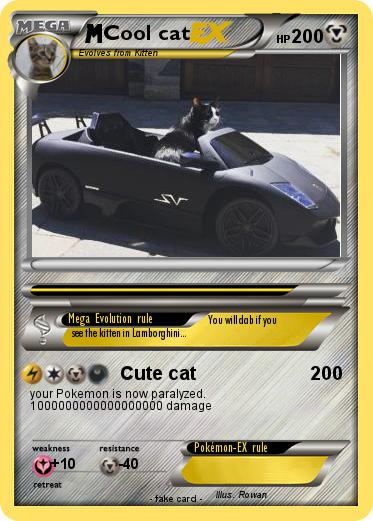 Pokemon Cool cat
