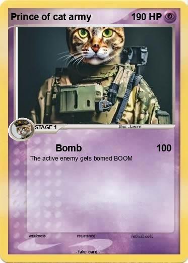 Pokemon Prince of cat army