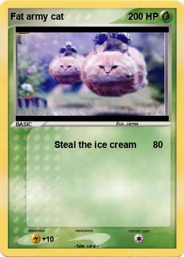 Pokemon Fat army cat