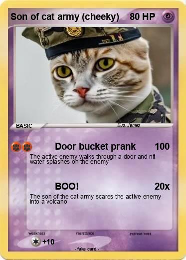 Pokemon Son of cat army (cheeky)