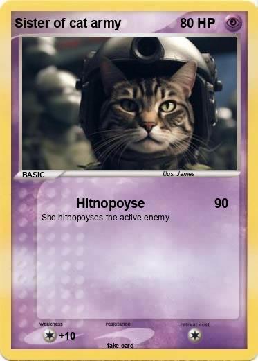 Pokemon Sister of cat army