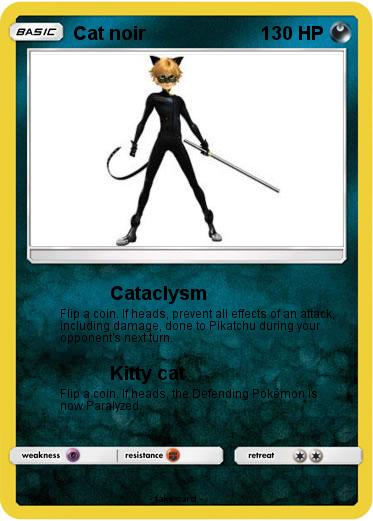 Pokemon Cat noir
