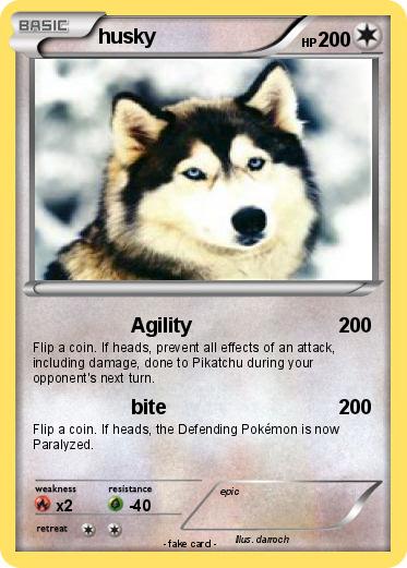 Pokemon husky