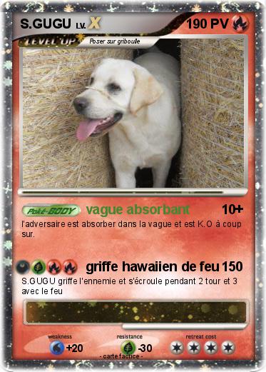 Pokemon S.GUGU