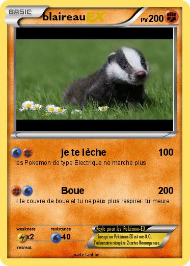 Pokemon blaireau
