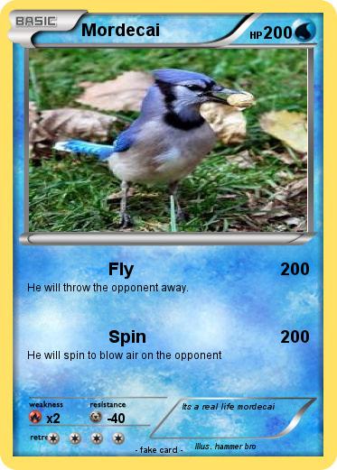 Pokemon Mordecai