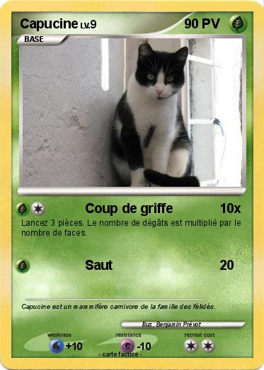 Pokemon Capucine