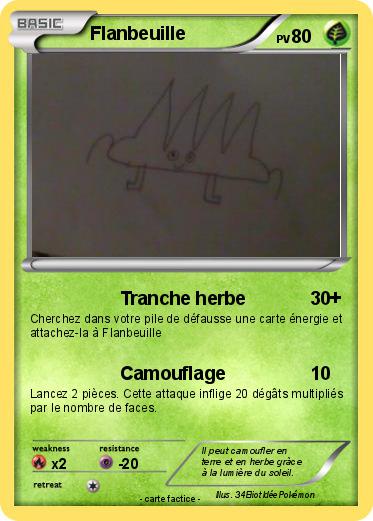 Pokemon Flanbeuille