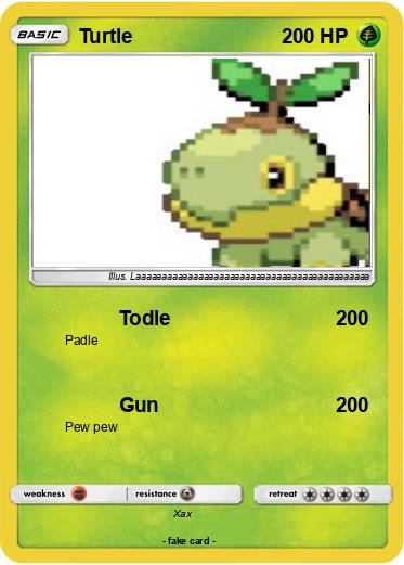 Pokemon Turtle