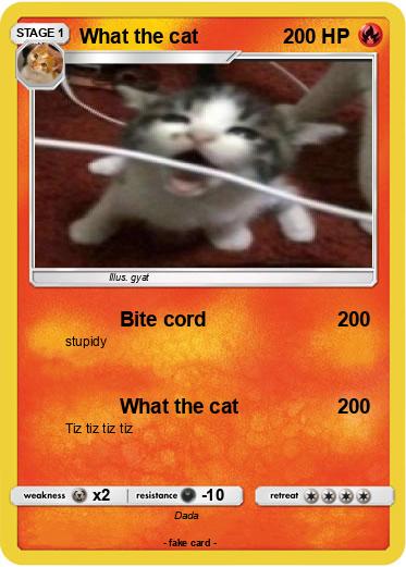 Pokemon What the cat