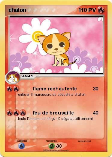 Pokemon chaton