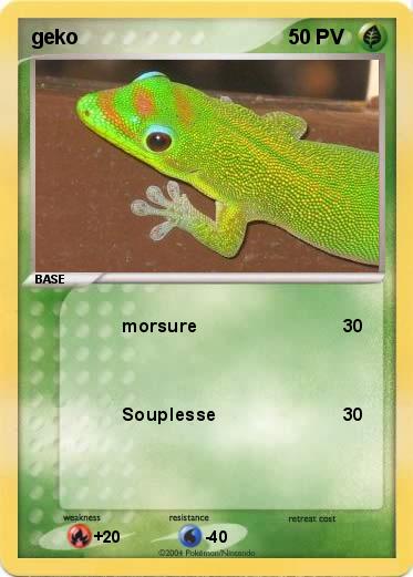 Pokemon geko