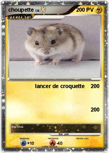Pokemon choupette