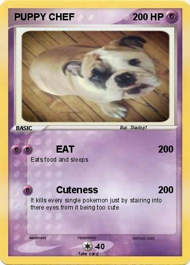 Pokemon PUPPY CHEF