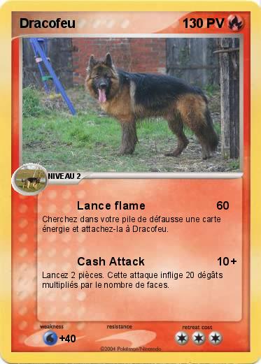 Pokemon Dracofeu