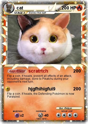 Pokemon cat