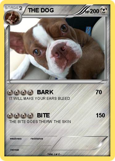 Pokemon THE DOG