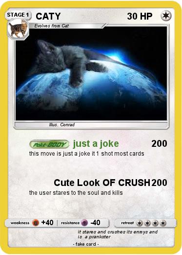 Pokemon CATY