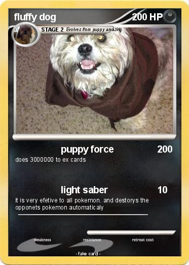 Pokemon fluffy dog