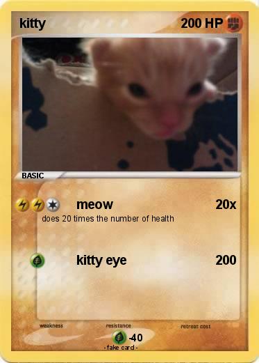 Pokemon kitty