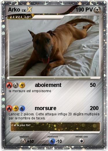 Pokemon Arko
