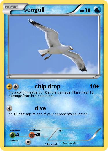 Pokemon seagull