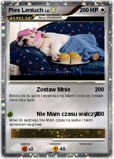 Pokemon Pies Leniuch