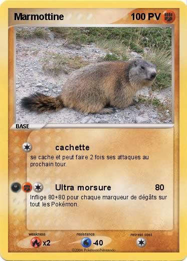 Pokemon Marmottine
