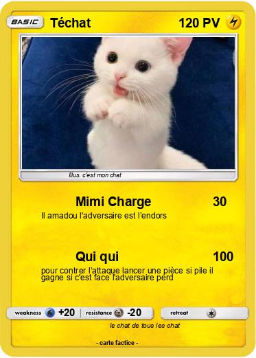 Pokemon Téchat