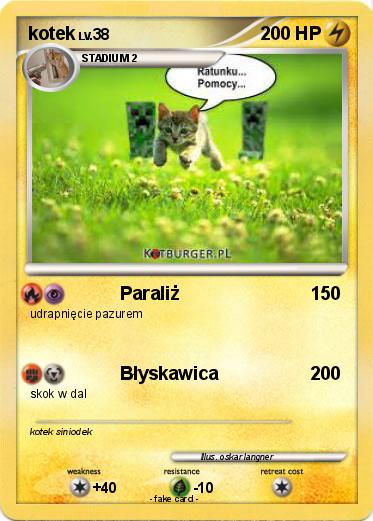 Pokemon kotek