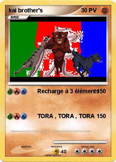 Pokemon kai brother's