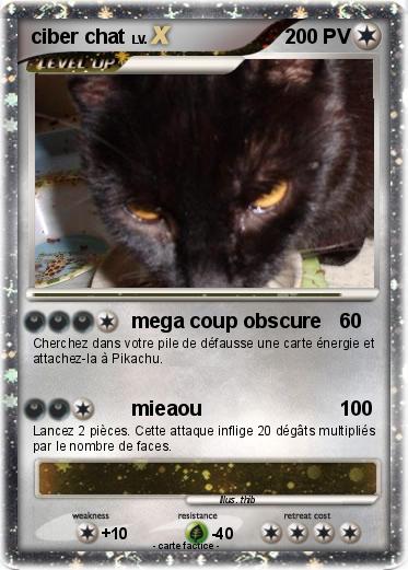 Pokemon ciber chat