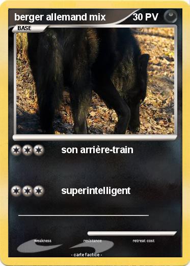 Pokemon berger allemand mix