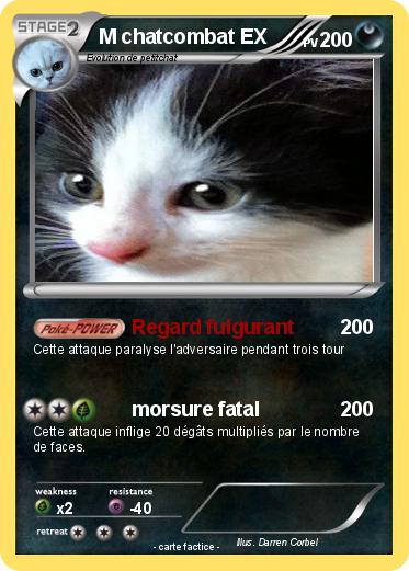 Pokemon M chatcombat EX